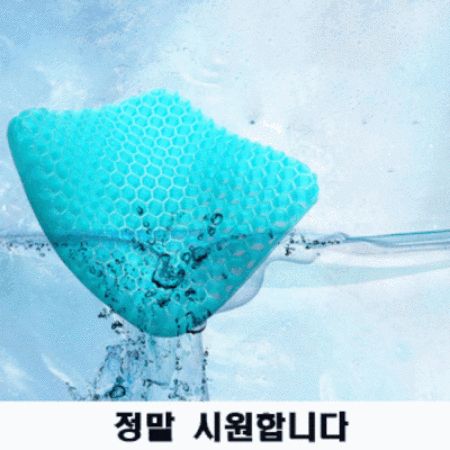 앗! 밸런스온방석 1+1 득템 기회! 솔직 후기💺✨